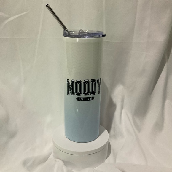 Other - Stainless Steel 20oz Tumbler W/Lid & Stainless Steel Straw, New In Box Gradient